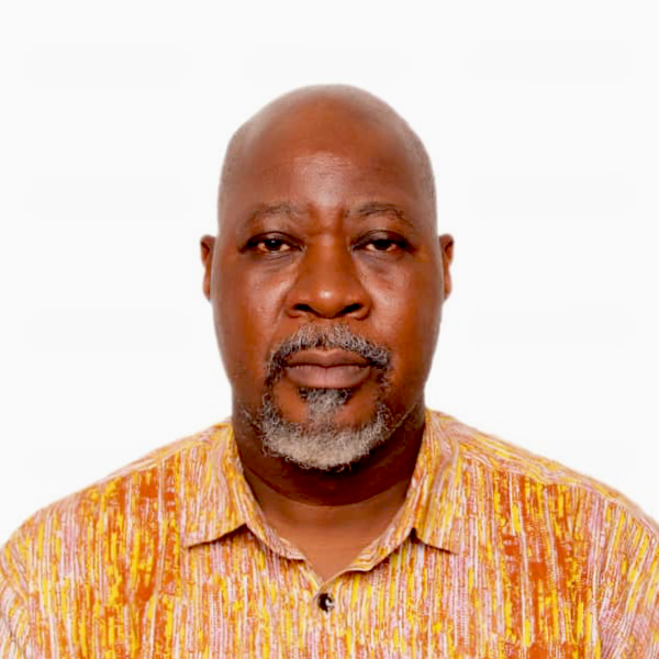 Prof. Emmanuel Kobina Mesi Edzie